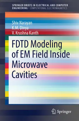 Narayan / Divya / Kanth |  FDTD Modeling of EM Field inside Microwave Cavities | eBook | Sack Fachmedien