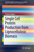 Bajpai |  Single Cell Protein Production from Lignocellulosic Biomass | eBook | Sack Fachmedien