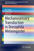Liang / Liu / Sun |  Mechanosensory Transduction in Drosophila Melanogaster | Buch |  Sack Fachmedien