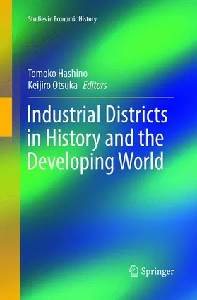 Otsuka / Hashino |  Industrial Districts in History and the Developing World | Buch |  Sack Fachmedien
