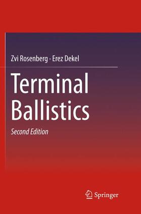 Dekel / Rosenberg | Terminal Ballistics | Buch | 978-981-10-9150-6 | sack.de