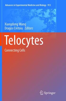 Cretoiu / Wang |  Telocytes | Buch |  Sack Fachmedien