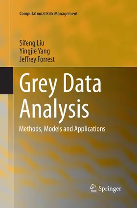 Liu / Forrest / Yang |  Grey Data Analysis | Buch |  Sack Fachmedien