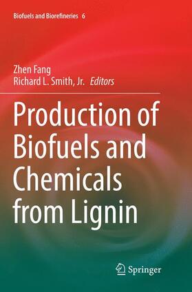 Smith / Fang / Smith, Jr. | Production of Biofuels and Chemicals from Lignin | Buch | 978-981-10-9489-7 | sack.de