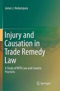 Nedumpara |  Injury and Causation in Trade Remedy Law | Buch |  Sack Fachmedien