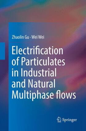 Wei / Gu | Electrification of Particulates in Industrial and Natural Multiphase flows | Buch | 978-981-10-9767-6 | sack.de
