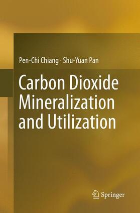 Pan / Chiang |  Carbon Dioxide Mineralization and Utilization | Buch |  Sack Fachmedien