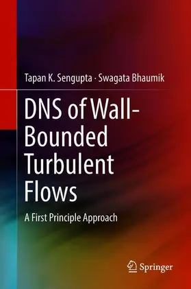 Bhaumik / Sengupta |  DNS of Wall-Bounded Turbulent Flows | Buch |  Sack Fachmedien