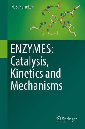 Punekar | ENZYMES: Catalysis, Kinetics and Mechanisms | Buch | 978-981-1307-84-3 | sack.de