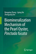 Zhang / Xie / Yan |  Biomineralization Mechanism of the Pearl Oyster, Pinctada fucata | eBook | Sack Fachmedien