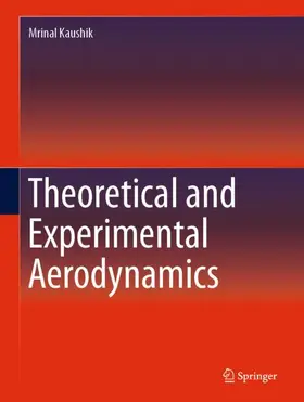 Kaushik |  Theoretical and Experimental Aerodynamics | Buch |  Sack Fachmedien