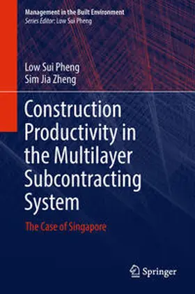 Jia Zheng / Sui Pheng |  Construction Productivity in the Multilayer Subcontracting System | Buch |  Sack Fachmedien