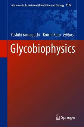 Kato / Yamaguchi | Glycobiophysics | Buch | 978-981-1321-57-3 | sack.de