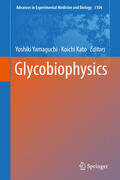 Yamaguchi / Kato |  Glycobiophysics | eBook | Sack Fachmedien