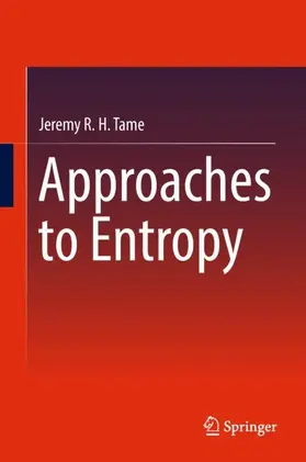 Tame |  Approaches to Entropy | Buch |  Sack Fachmedien