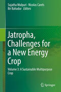 Mulpuri / Carels / Bahadur |  Jatropha, Challenges for a New Energy Crop | eBook | Sack Fachmedien