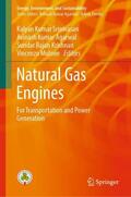 Srinivasan / Mulone / Agarwal |  Natural Gas Engines | Buch |  Sack Fachmedien