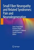 Hsieh / Anand / Gibbons |  Small Fiber Neuropathy and Related Syndromes: Pain and Neurodegeneration | Buch |  Sack Fachmedien