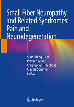 Hsieh / Anand / Gibbons |  Small Fiber Neuropathy and Related Syndromes: Pain and Neurodegeneration | eBook | Sack Fachmedien