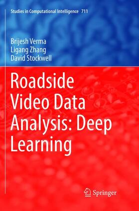 Verma / Stockwell / Zhang |  Roadside Video Data Analysis | Buch |  Sack Fachmedien