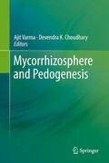 Varma / Choudhary |  Mycorrhizosphere and Pedogenesis | eBook | Sack Fachmedien