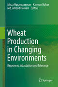 Hasanuzzaman / Nahar / Hossain |  Wheat Production in Changing Environments | eBook | Sack Fachmedien