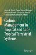Ghosh / Mahanta / Mandal |  Carbon Management in Tropical and Sub-Tropical Terrestrial Systems | eBook | Sack Fachmedien