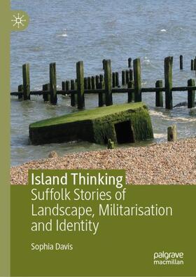 Davis |  Island Thinking | Buch |  Sack Fachmedien