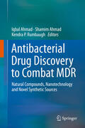 Ahmad / Rumbaugh |  Antibacterial Drug Discovery to Combat MDR | eBook | Sack Fachmedien