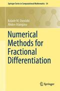 Atangana / Owolabi |  Numerical Methods for Fractional Differentiation | Buch |  Sack Fachmedien