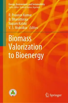 Praveen Kumar / Moholkar / Bharathiraja |  Biomass Valorization to Bioenergy | Buch |  Sack Fachmedien