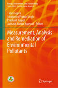 Gupta / Singh / Rajput |  Measurement, Analysis and Remediation of Environmental Pollutants | eBook | Sack Fachmedien