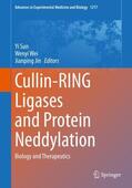 Sun / Jin / Wei |  Cullin-RING Ligases and Protein Neddylation | Buch |  Sack Fachmedien