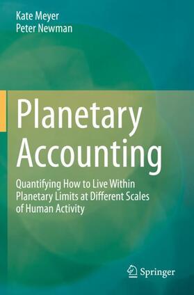 Newman / Meyer |  Planetary Accounting | Buch |  Sack Fachmedien