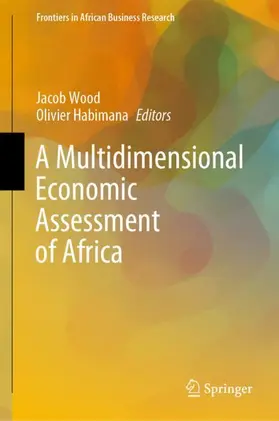 Habimana / Wood |  A Multidimensional Economic Assessment of Africa | Buch |  Sack Fachmedien