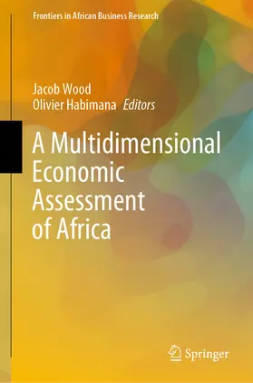 Wood / Habimana |  A Multidimensional Economic Assessment of Africa | eBook | Sack Fachmedien