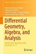 Shahid / Ashraf / Vilcu |  Differential Geometry, Algebra, and Analysis | Buch |  Sack Fachmedien
