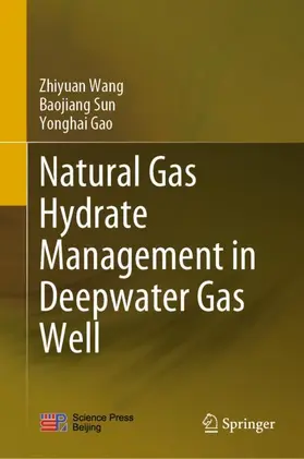 Wang / Gao / Sun |  Natural Gas Hydrate Management in Deepwater Gas Well | Buch |  Sack Fachmedien