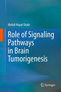 Shahi |  Role of Signaling Pathways in Brain Tumorigenesis | eBook | Sack Fachmedien