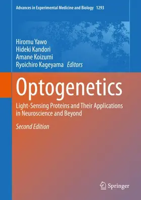 Yawo / Kandori / Koizumi |  Optogenetics | Buch |  Sack Fachmedien