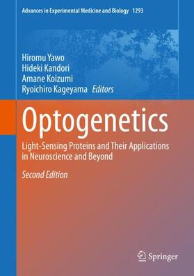 Yawo / Kandori / Koizumi | Optogenetics | Buch | 978-981-1587-62-7 | sack.de