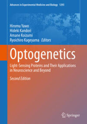 Yawo / Kandori / Koizumi | Optogenetics | E-Book | sack.de