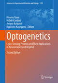 Yawo / Kandori / Koizumi |  Optogenetics | eBook | Sack Fachmedien