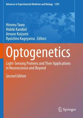 Yawo / Kageyama / Kandori |  Optogenetics | Buch |  Sack Fachmedien