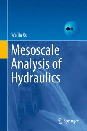 Xu |  Mesoscale Analysis of Hydraulics | Buch |  Sack Fachmedien