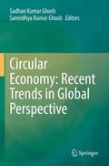 Ghosh |  Circular Economy: Recent Trends in Global Perspective | Buch |  Sack Fachmedien