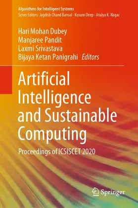 Dubey / Pandit / Srivastava |  Artificial Intelligence and Sustainable Computing | eBook | Sack Fachmedien