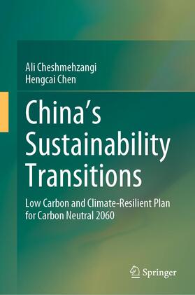 Chen / Cheshmehzangi |  China's Sustainability Transitions | Buch |  Sack Fachmedien