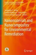 Singh / Agarwal / Rathinam |  Nanomaterials and Nanocomposites for Environmental Remediation | Buch |  Sack Fachmedien
