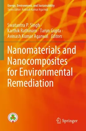 Singh / Agarwal / Rathinam |  Nanomaterials and Nanocomposites for Environmental Remediation | Buch |  Sack Fachmedien